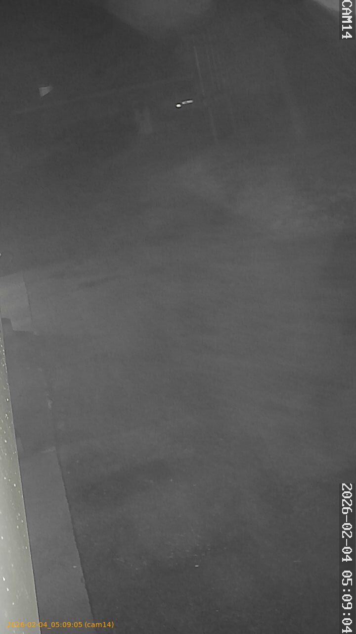 thumbnail_20260204050905