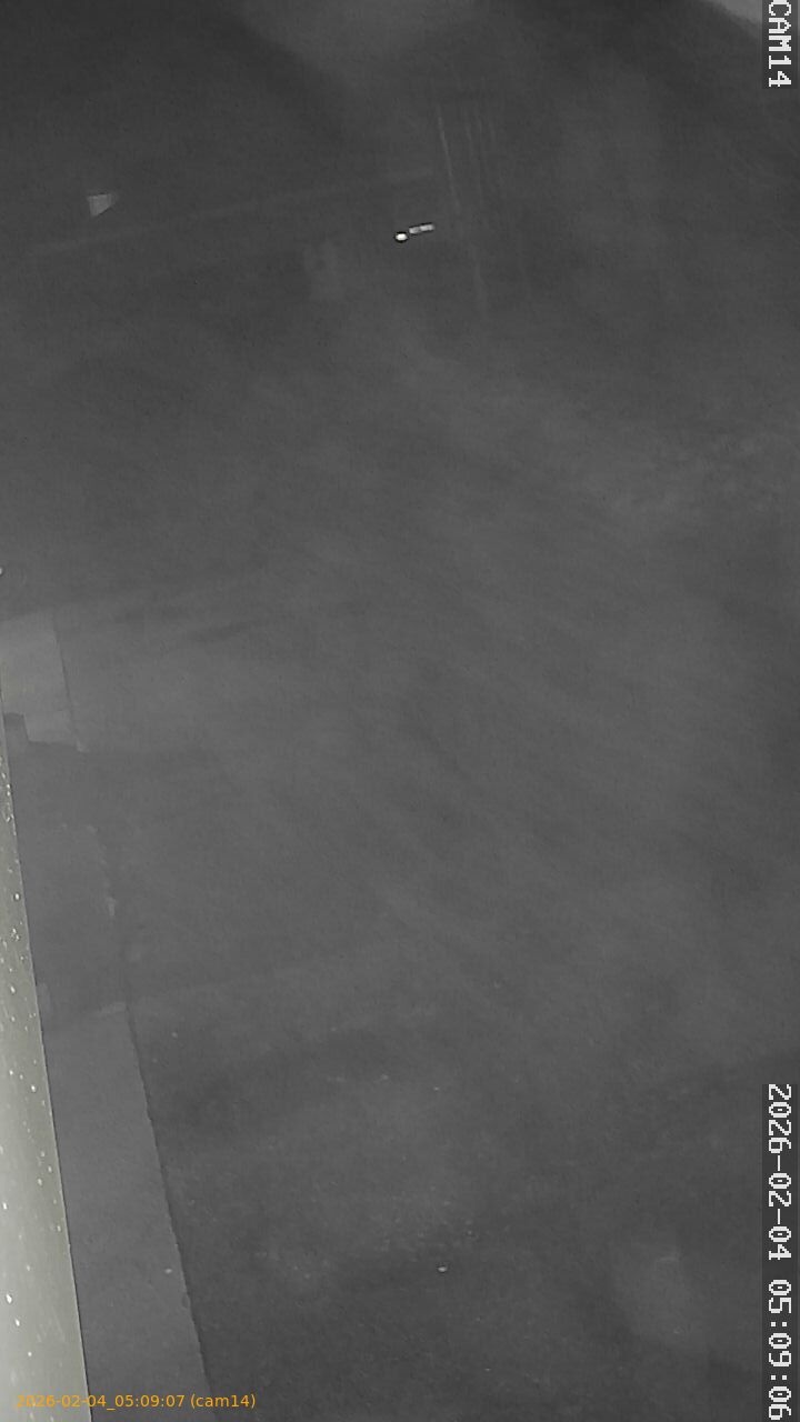 thumbnail_20260204050907