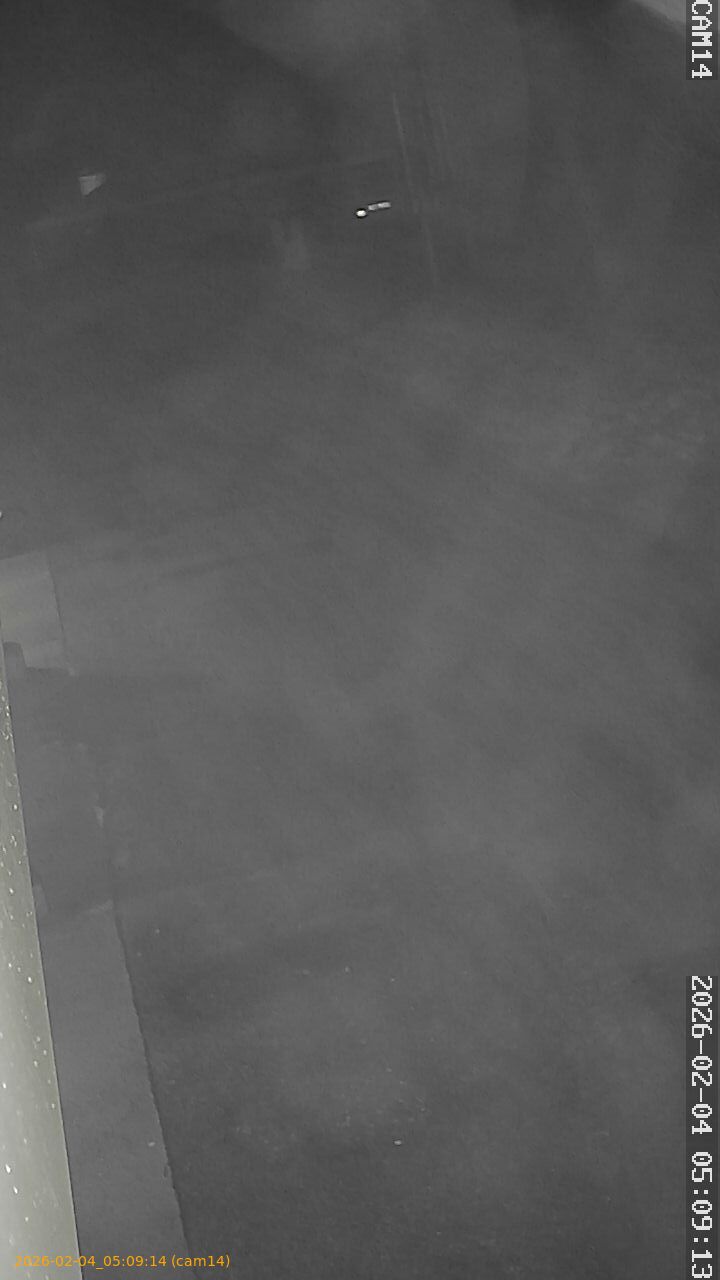 thumbnail_20260204050914