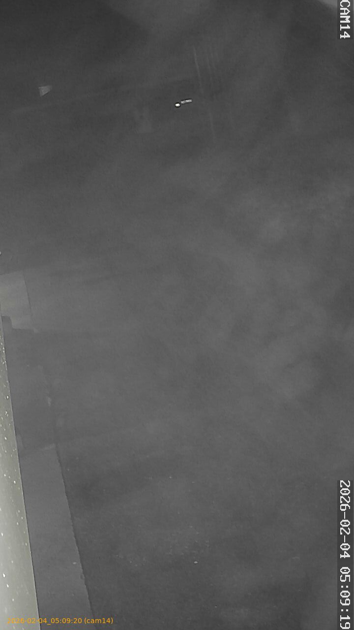 thumbnail_20260204050920