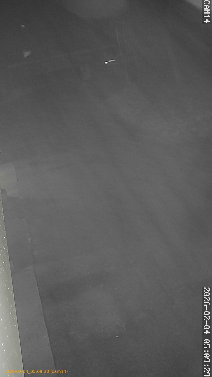 thumbnail_20260204050930