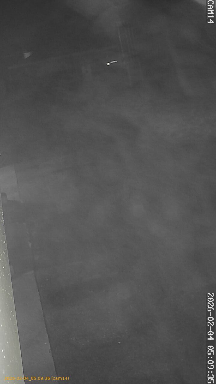 thumbnail_20260204050936