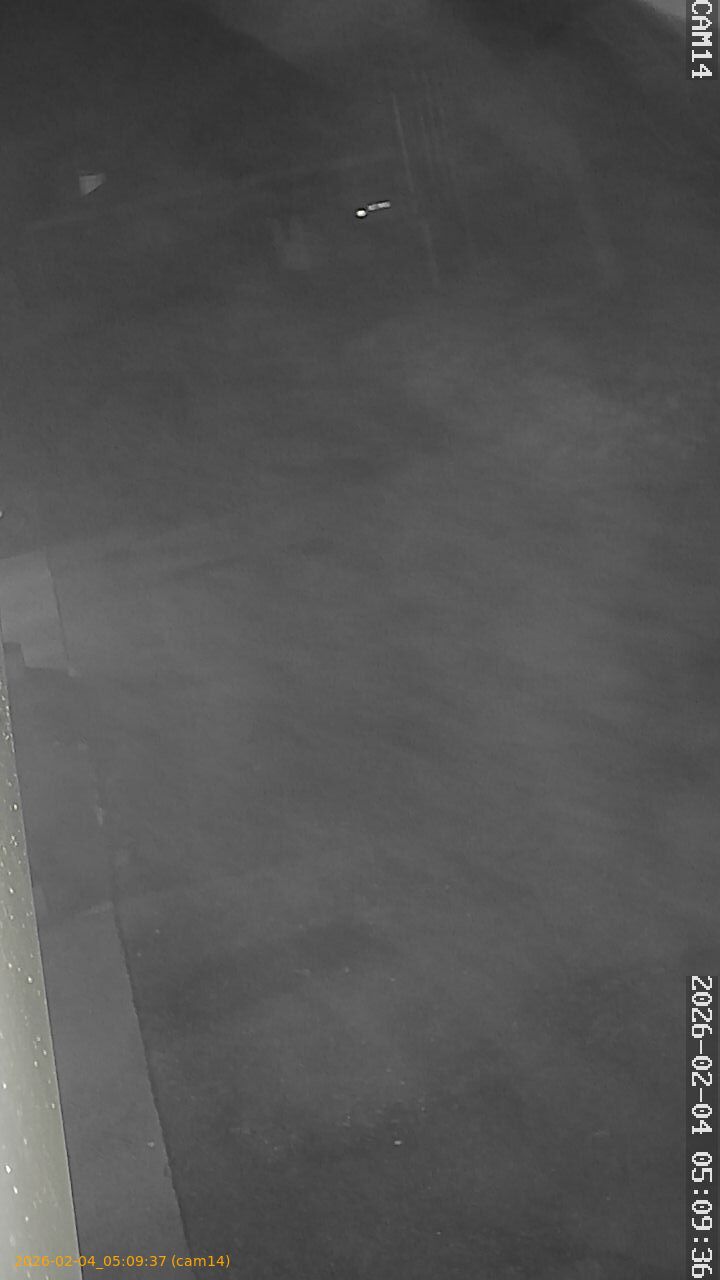 thumbnail_20260204050937