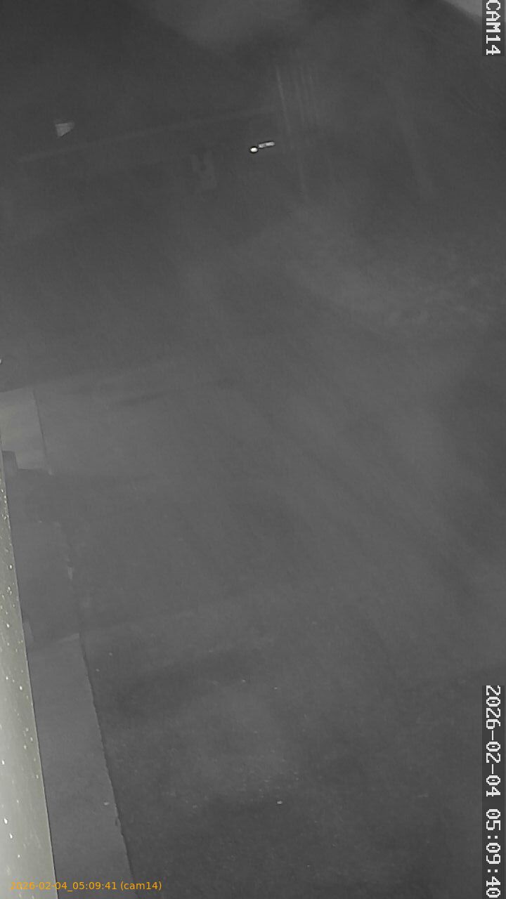 thumbnail_20260204050941