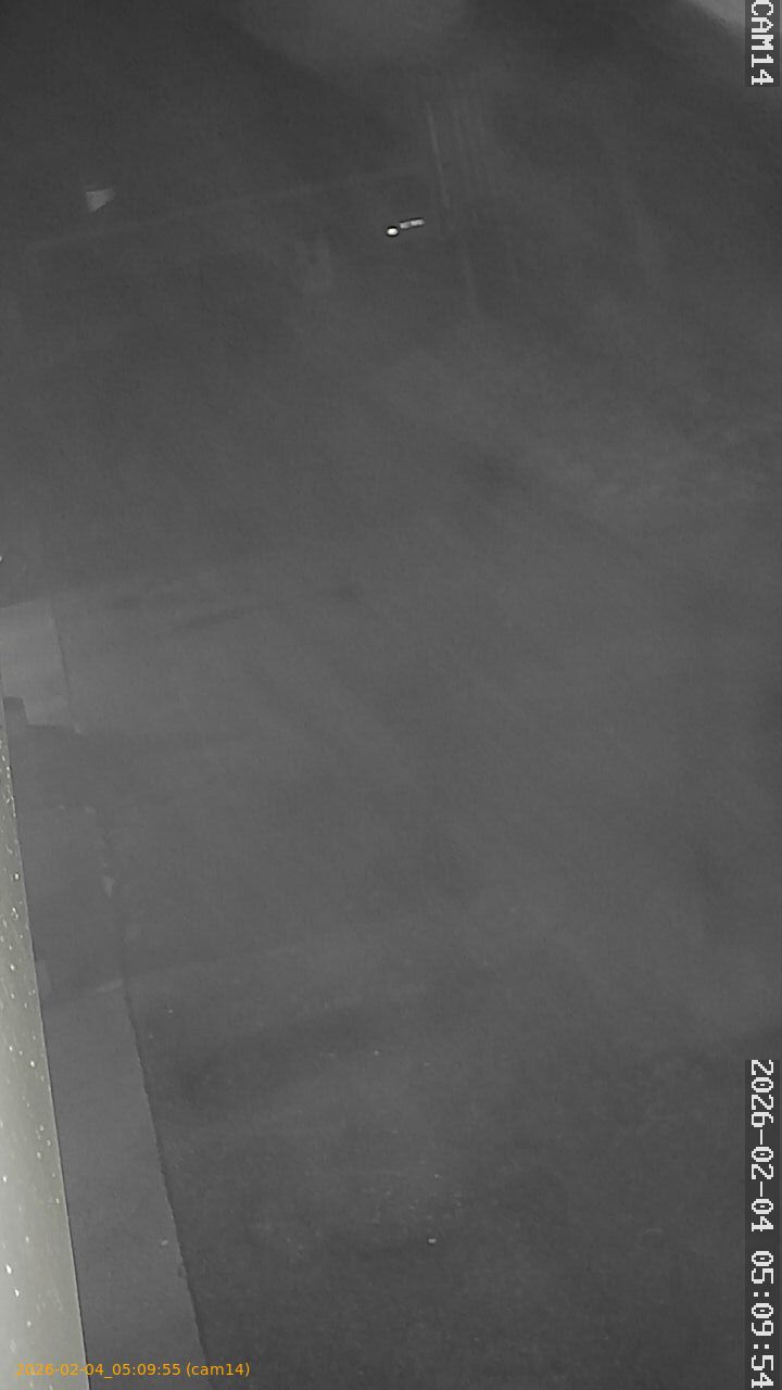 thumbnail_20260204050955