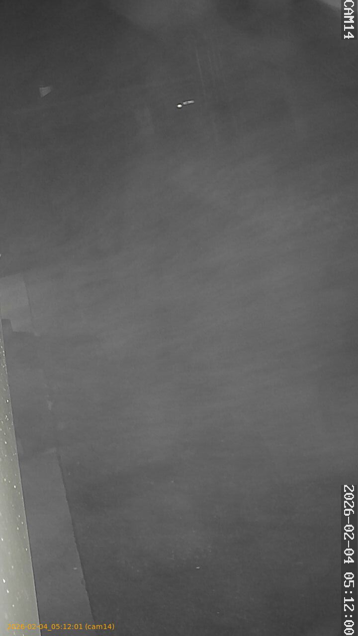 thumbnail_20260204051201