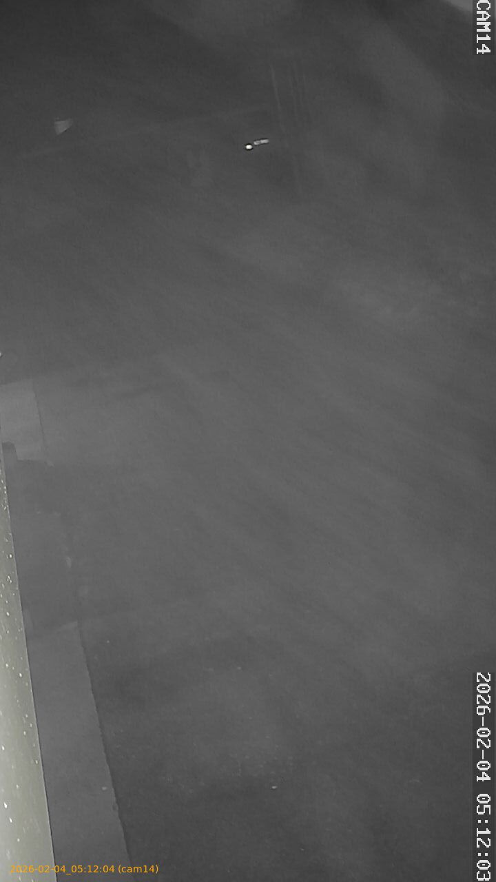 thumbnail_20260204051204