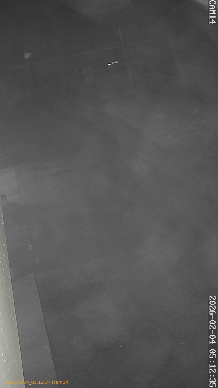 thumbnail_20260204051237