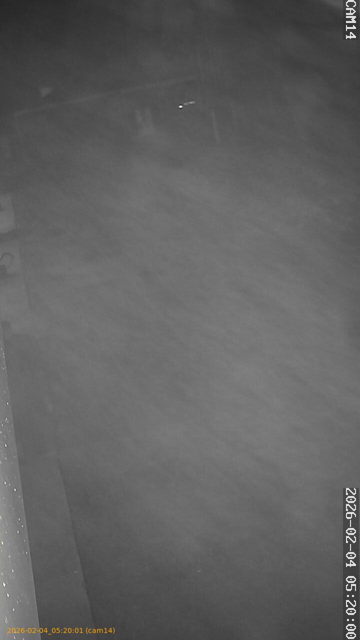 thumbnail_20260204052001