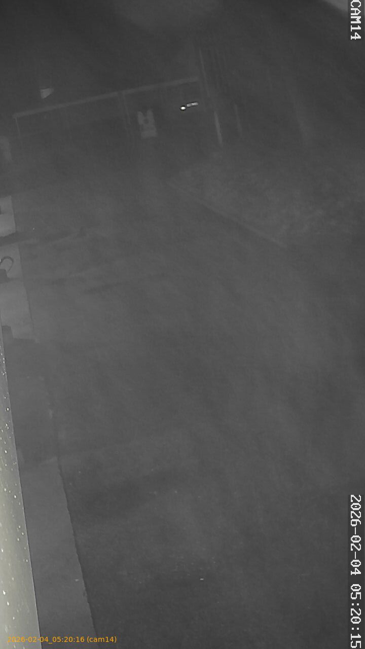 thumbnail_20260204052016