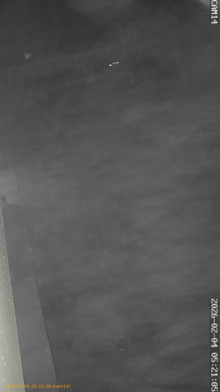 thumbnail_20260204052106