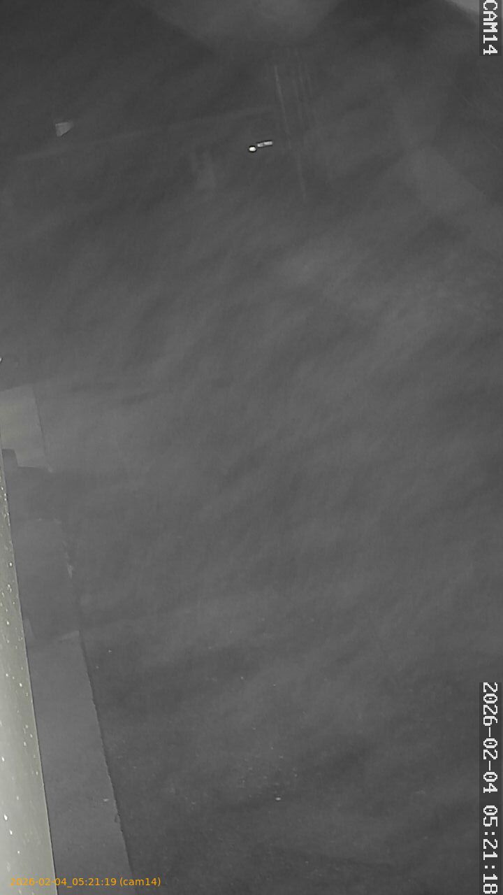 thumbnail_20260204052119