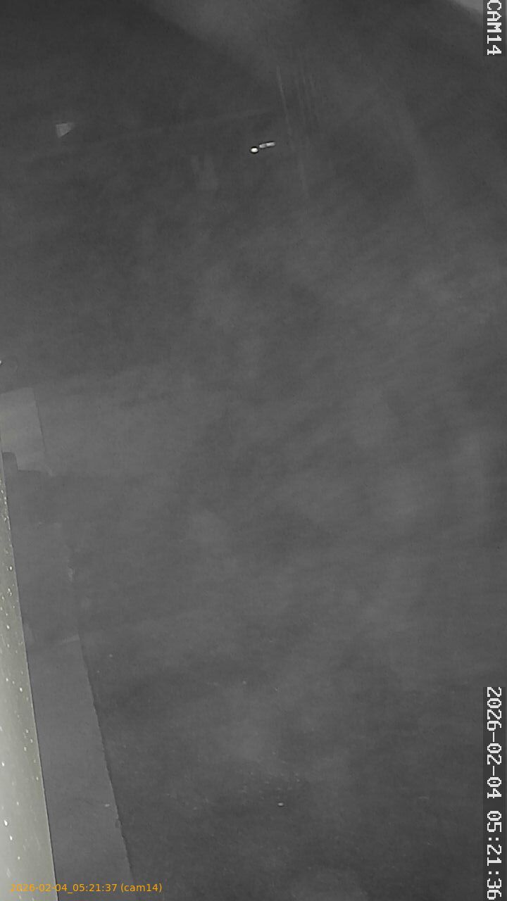 thumbnail_20260204052137