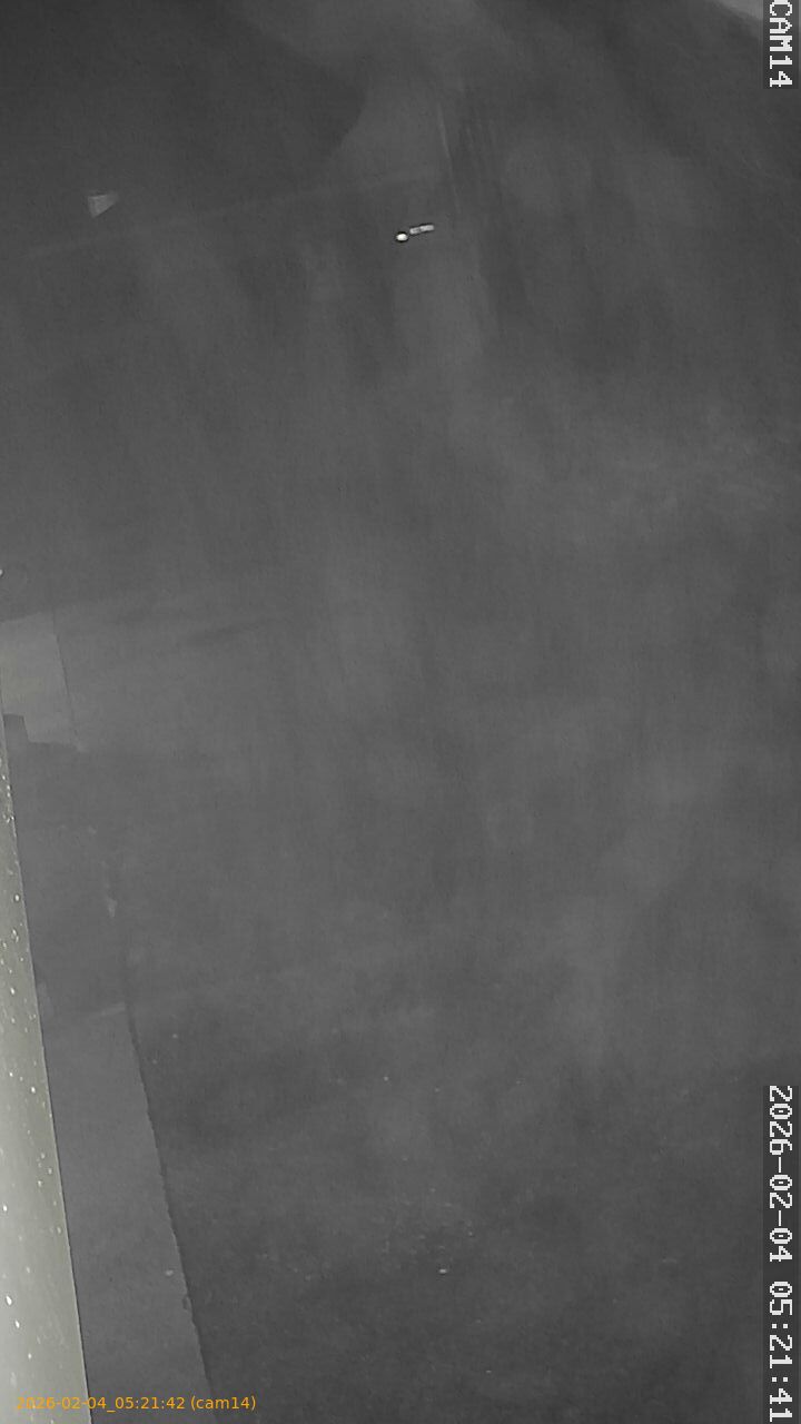 thumbnail_20260204052142