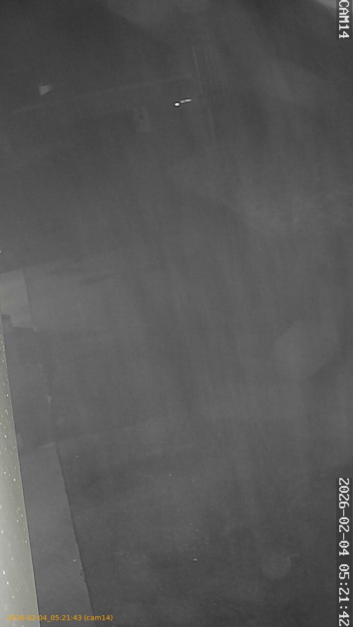 thumbnail_20260204052143