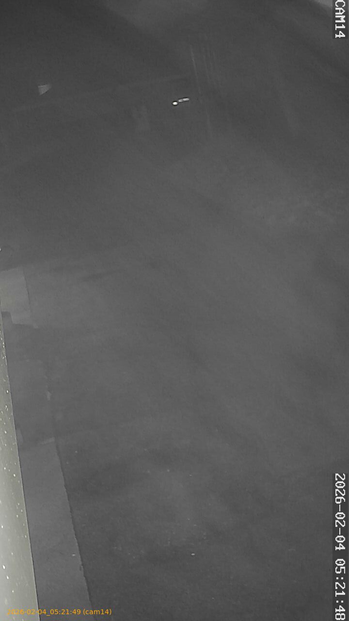 thumbnail_20260204052149