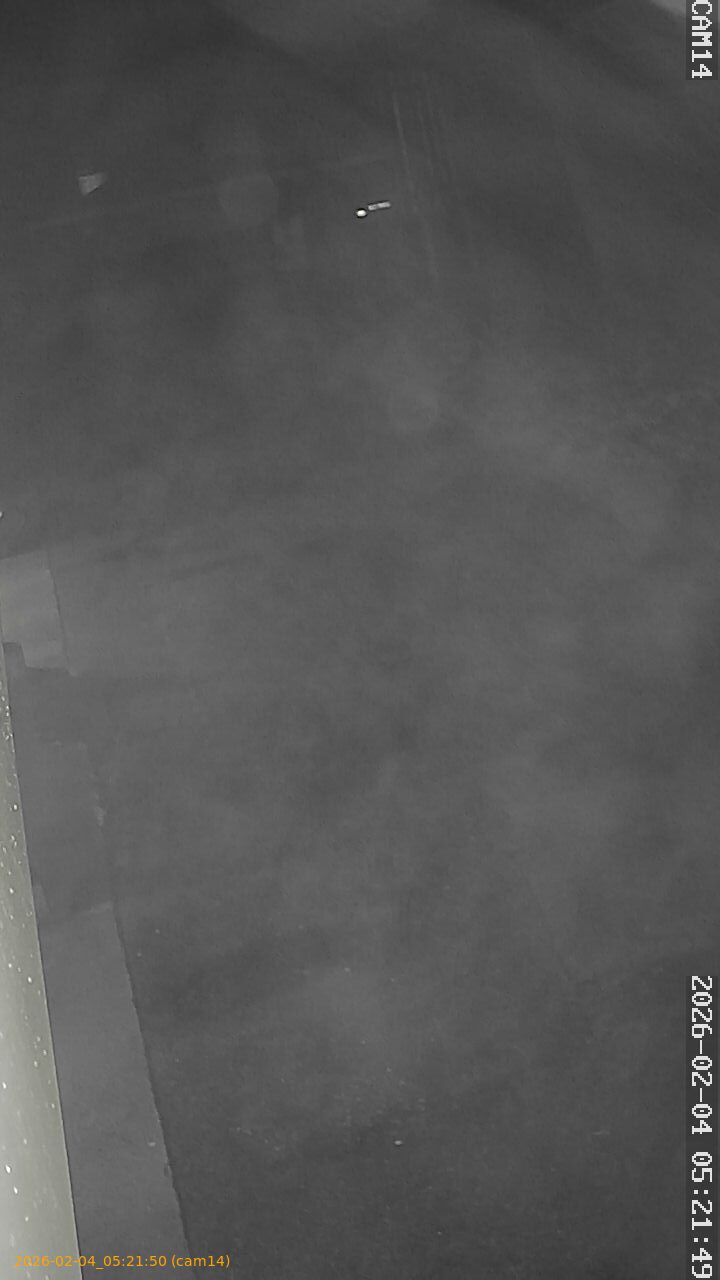 thumbnail_20260204052150