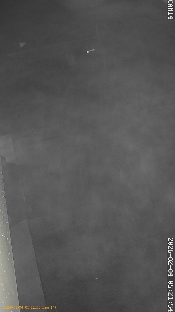 thumbnail_20260204052155