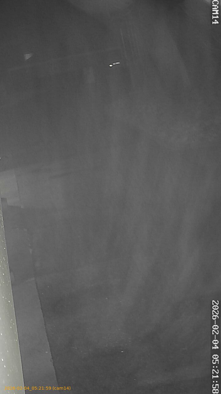 thumbnail_20260204052159