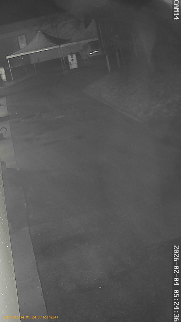 thumbnail_20260204052437