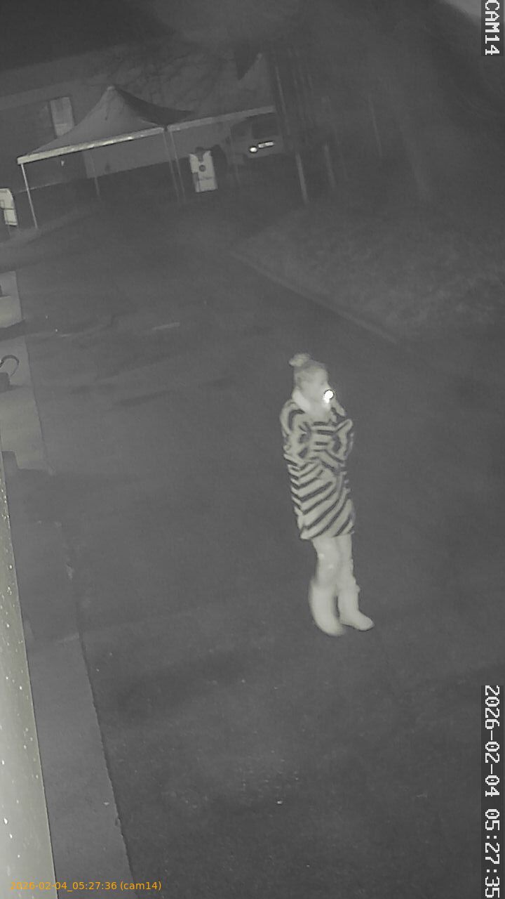 thumbnail_20260204052736