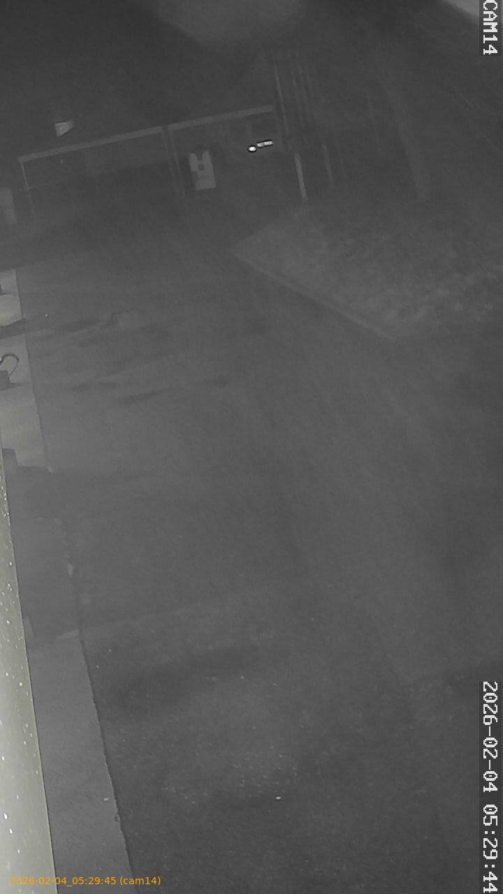 thumbnail_20260204052945