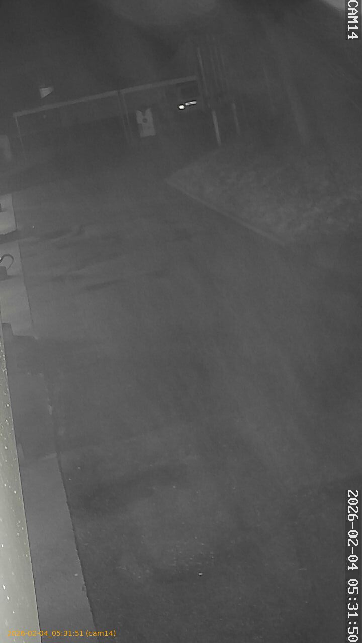 thumbnail_20260204053151