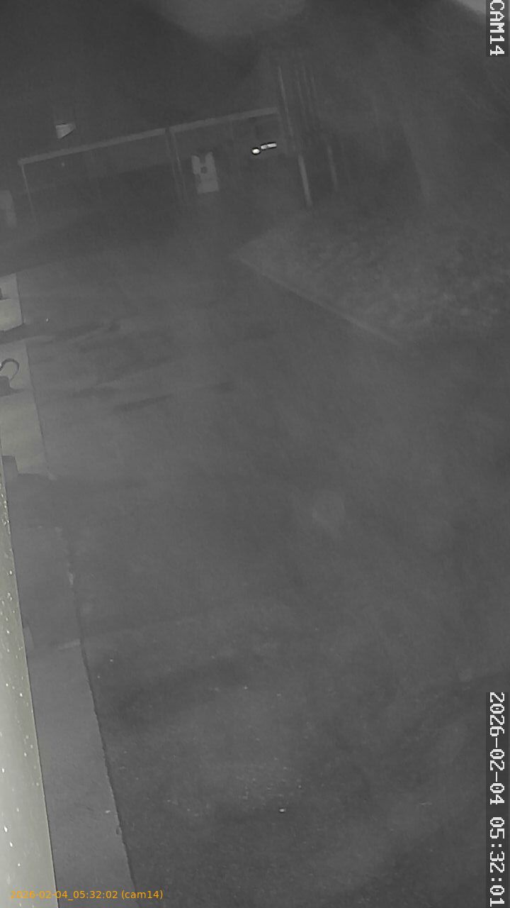 thumbnail_20260204053202