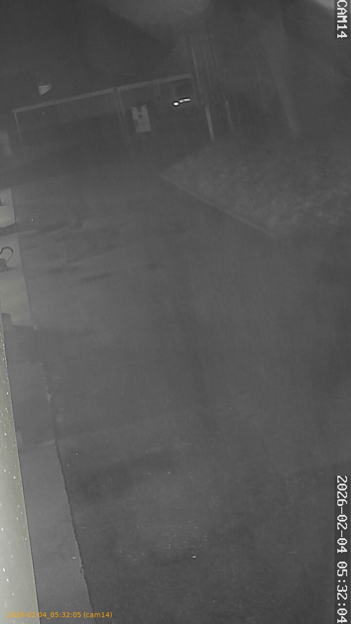 thumbnail_20260204053205