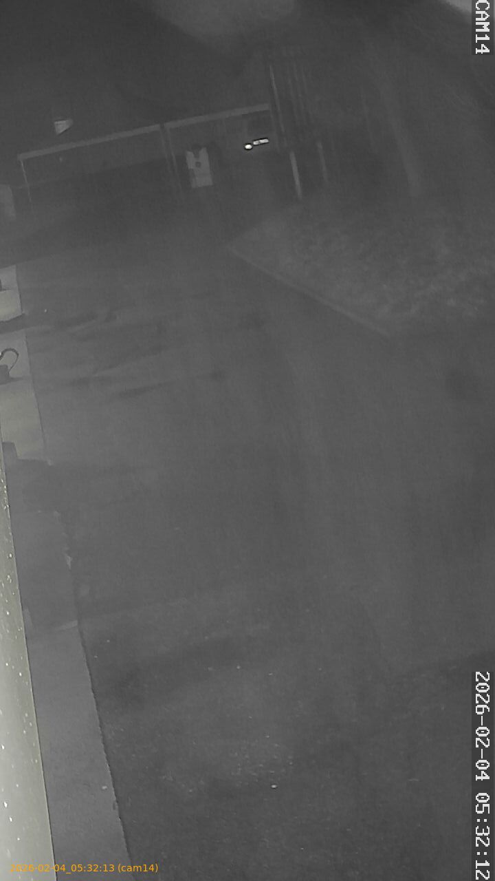 thumbnail_20260204053213