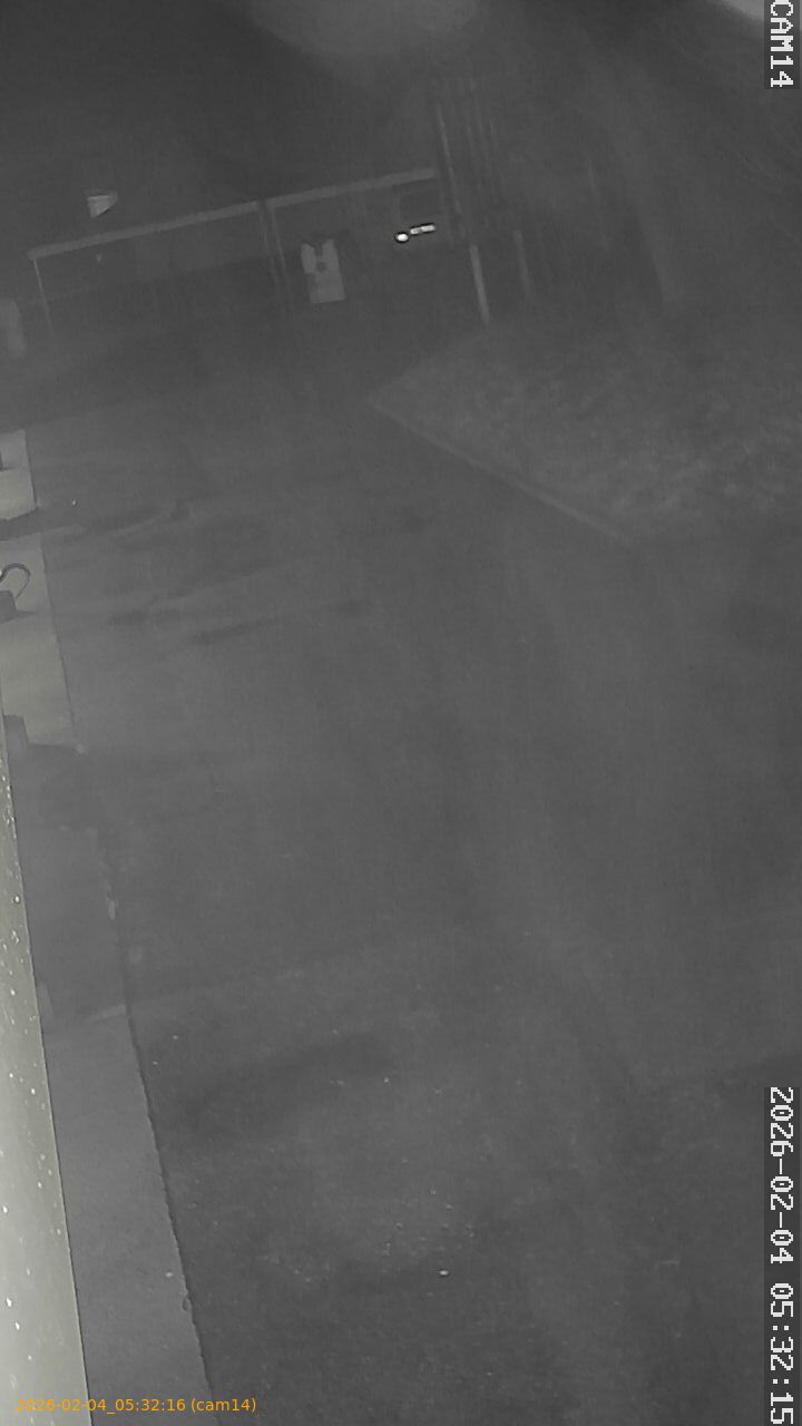 thumbnail_20260204053216