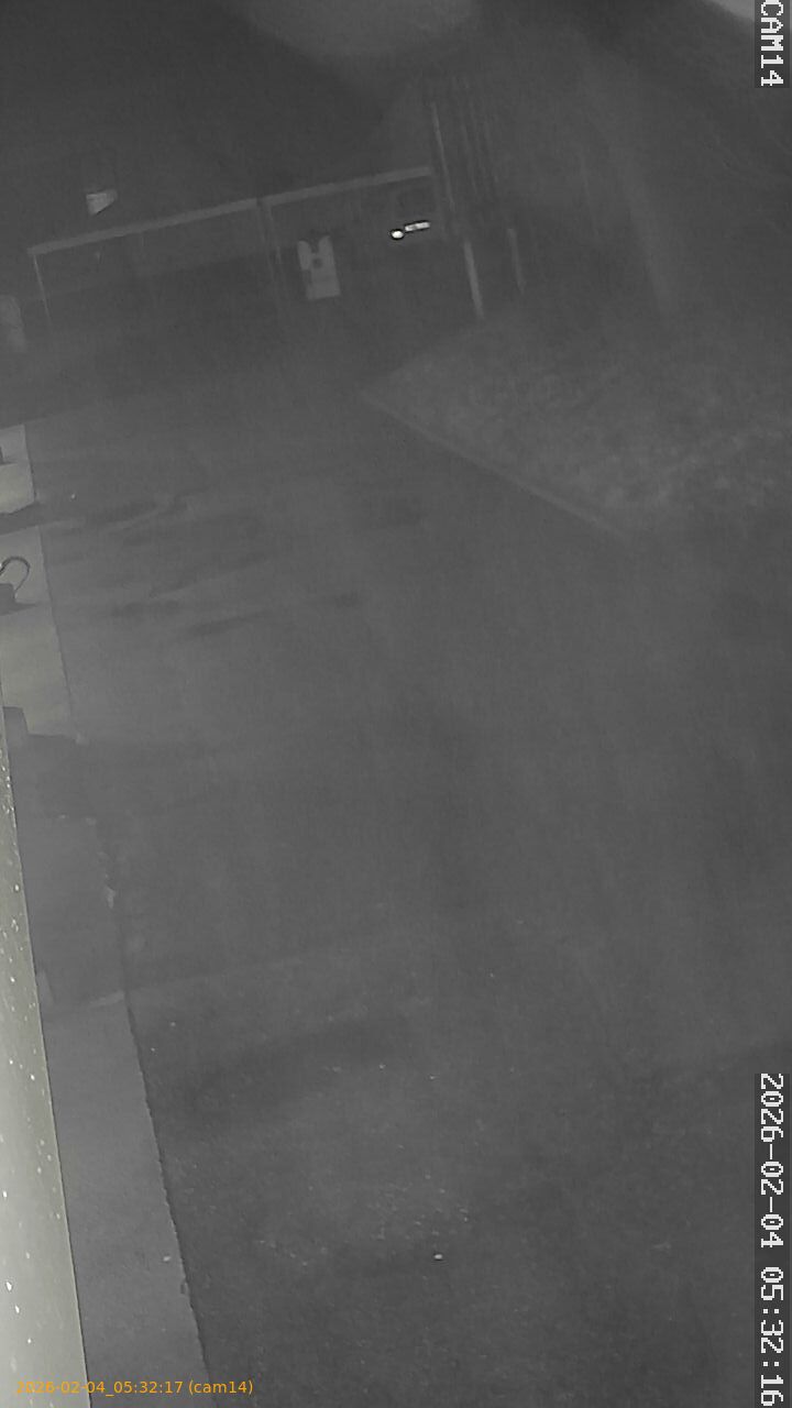 thumbnail_20260204053217