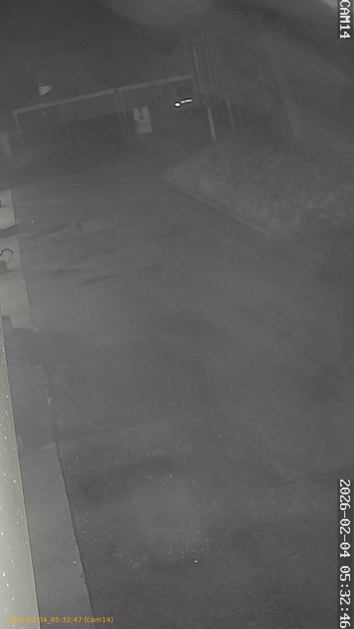 thumbnail_20260204053247