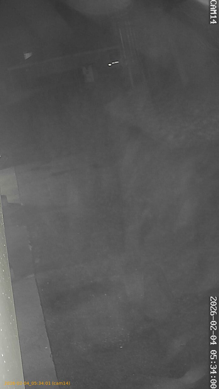 thumbnail_20260204053401