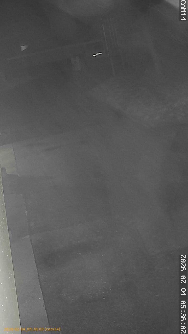 thumbnail_20260204053603