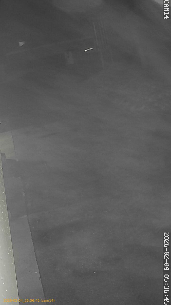 thumbnail_20260204053645