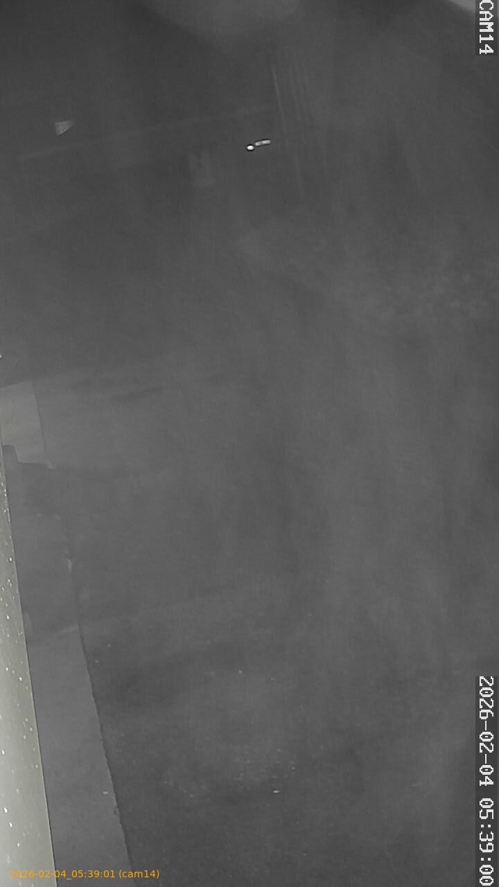 thumbnail_20260204053901