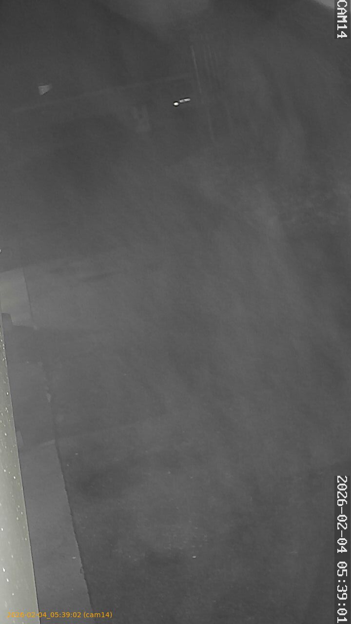 thumbnail_20260204053902