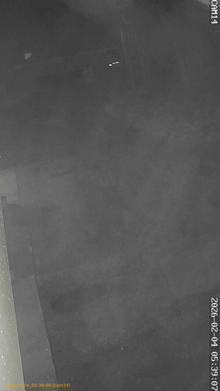 thumbnail_20260204053908