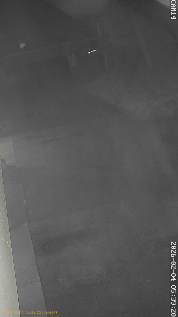 thumbnail_20260204053921