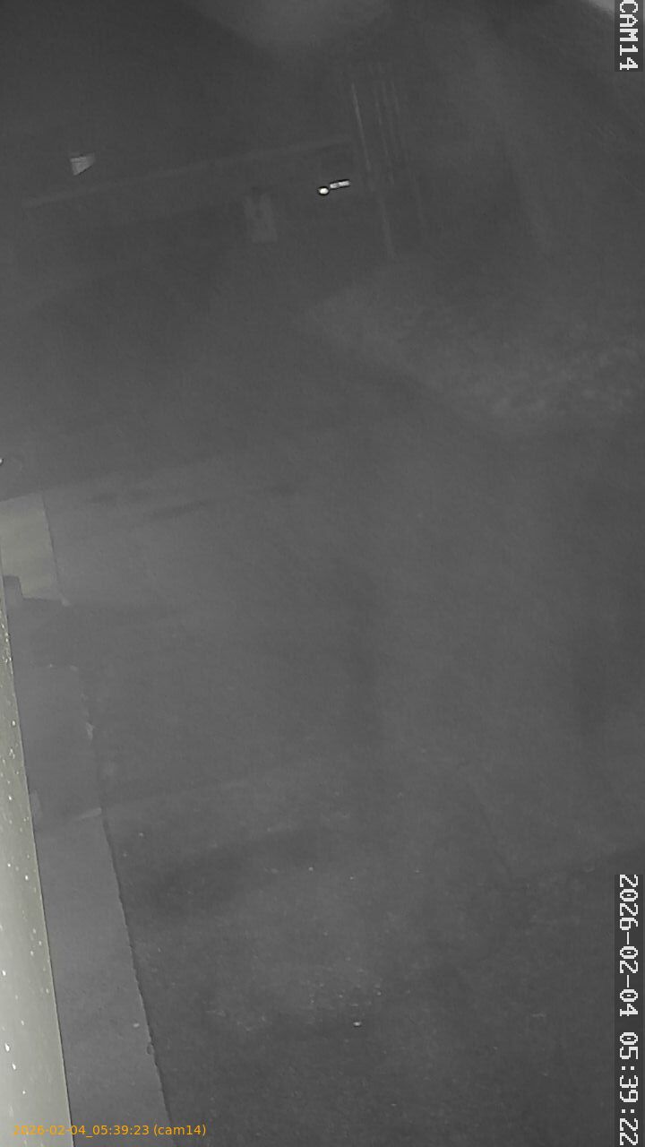 thumbnail_20260204053923