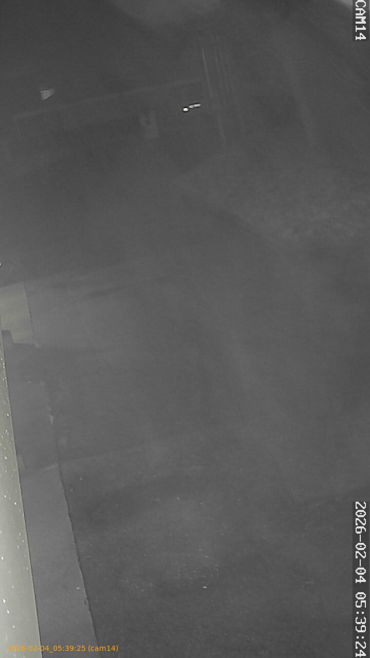 thumbnail_20260204053925