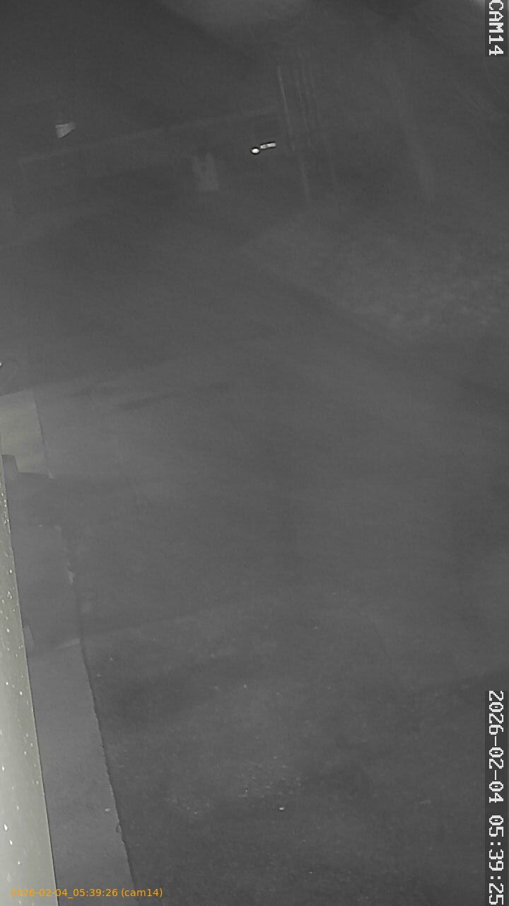 thumbnail_20260204053926