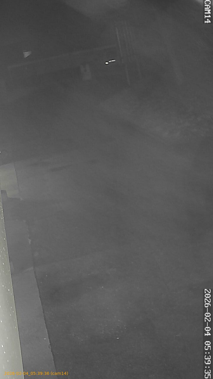 thumbnail_20260204053936