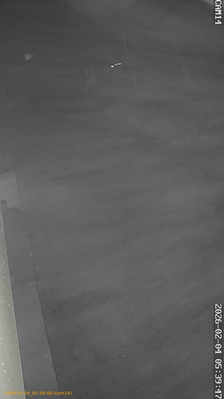 thumbnail_20260204053948