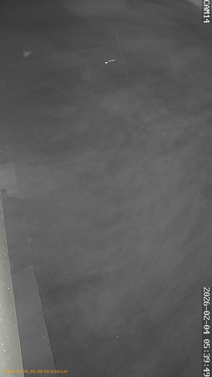 thumbnail_20260204053950