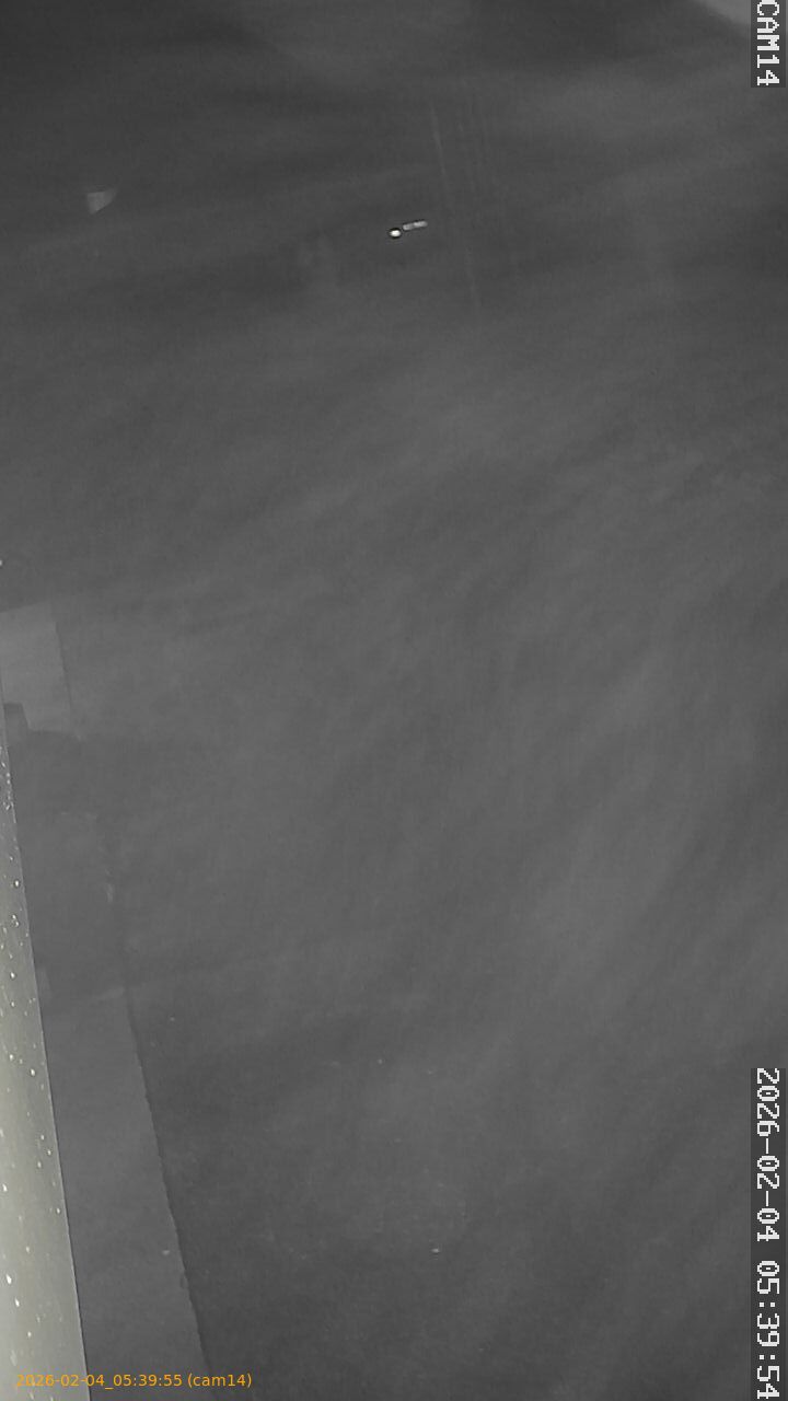 thumbnail_20260204053955