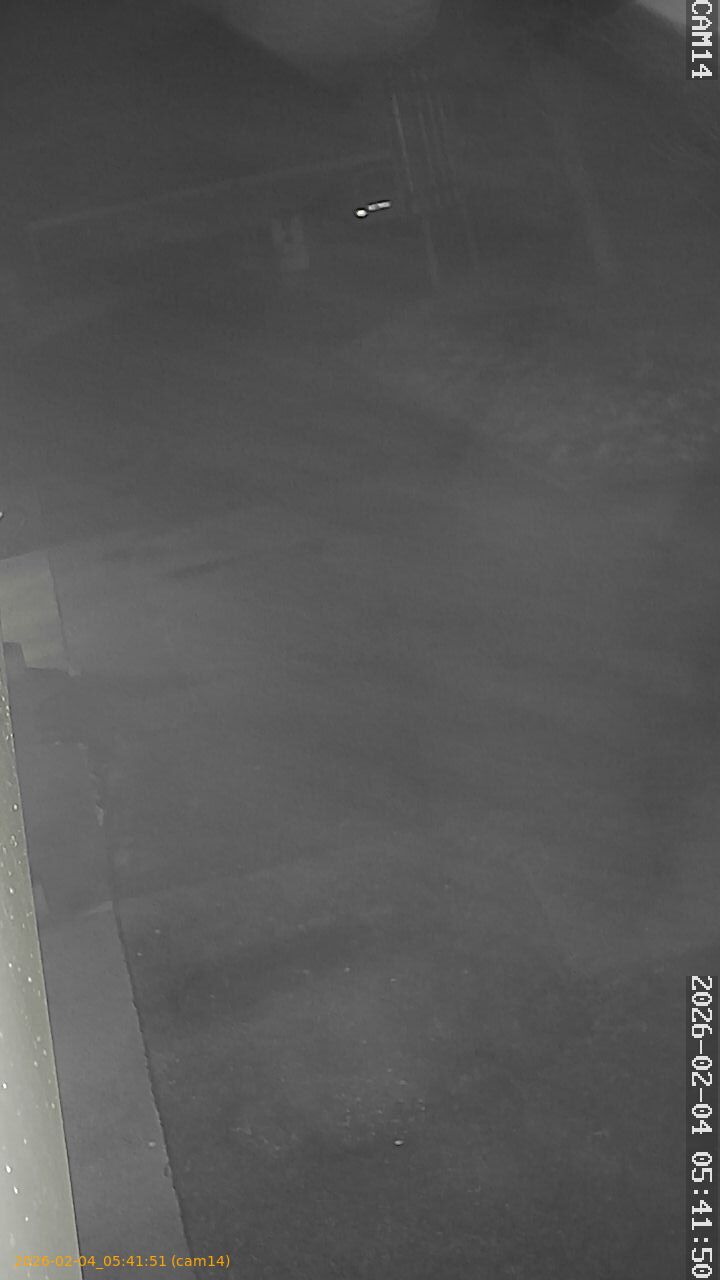 thumbnail_20260204054151