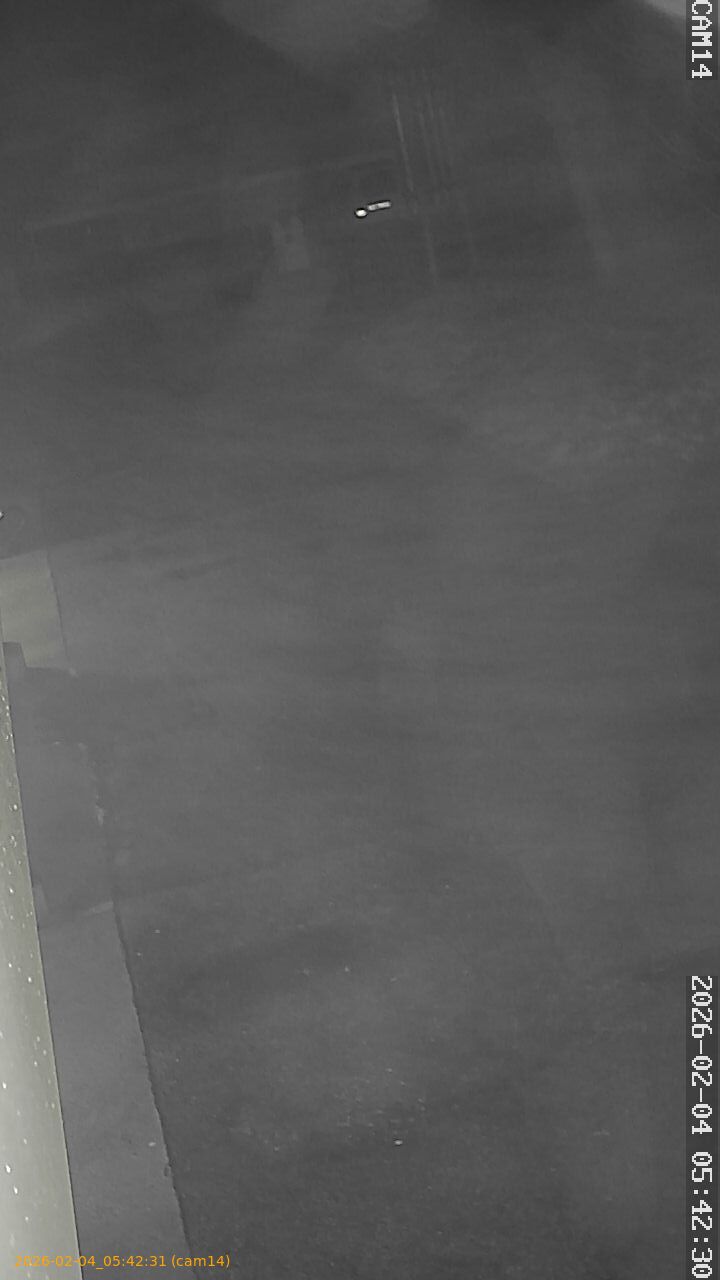 thumbnail_20260204054231