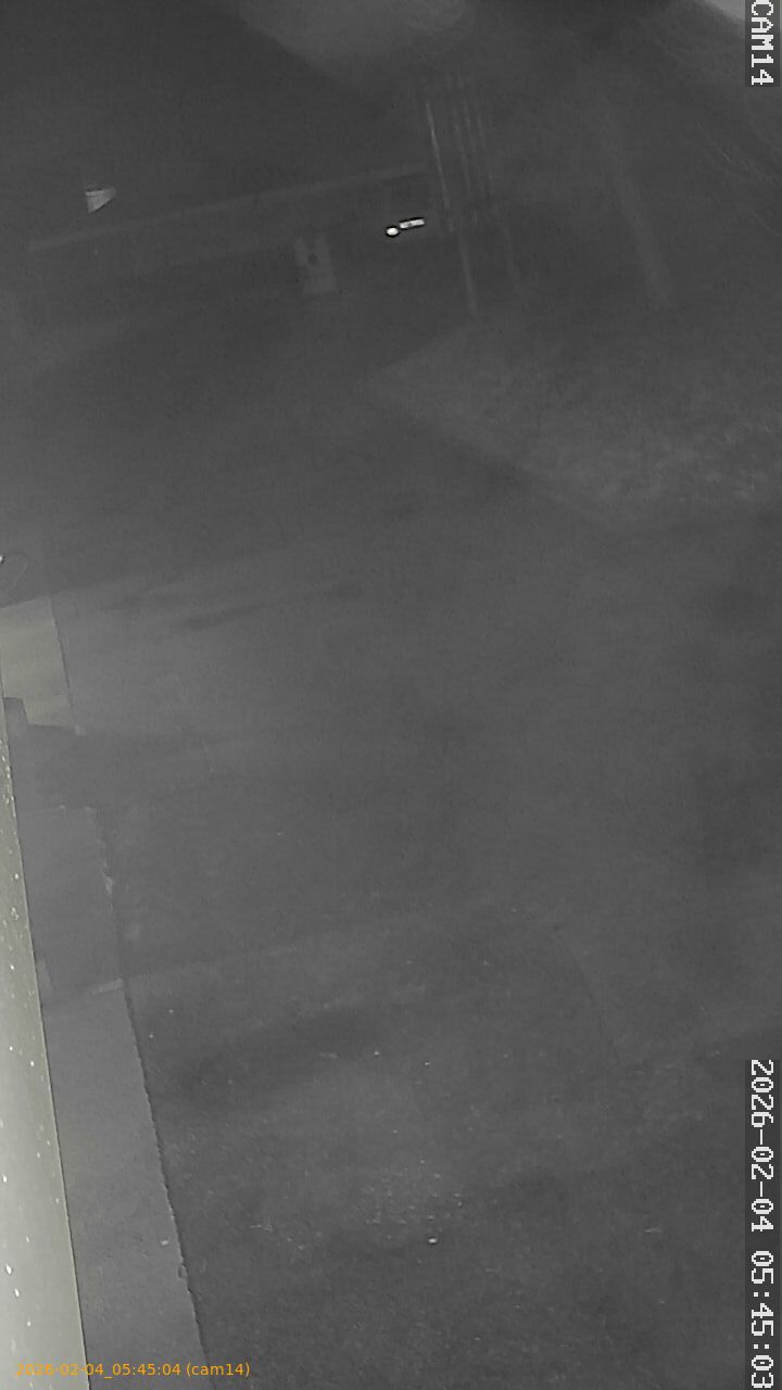 thumbnail_20260204054504